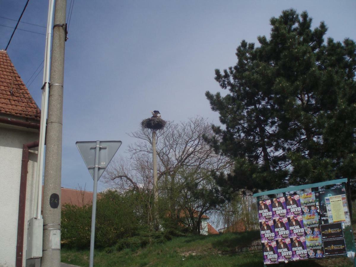 "U Capa" Krasny Apartman V Sedleci Sedlec  Exterior foto